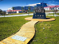 陇南天华矿业集团