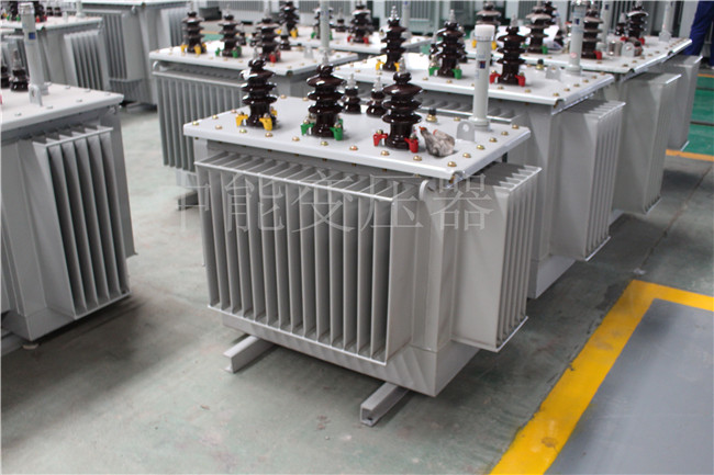 陇南S22-250KVA/10KV变压器